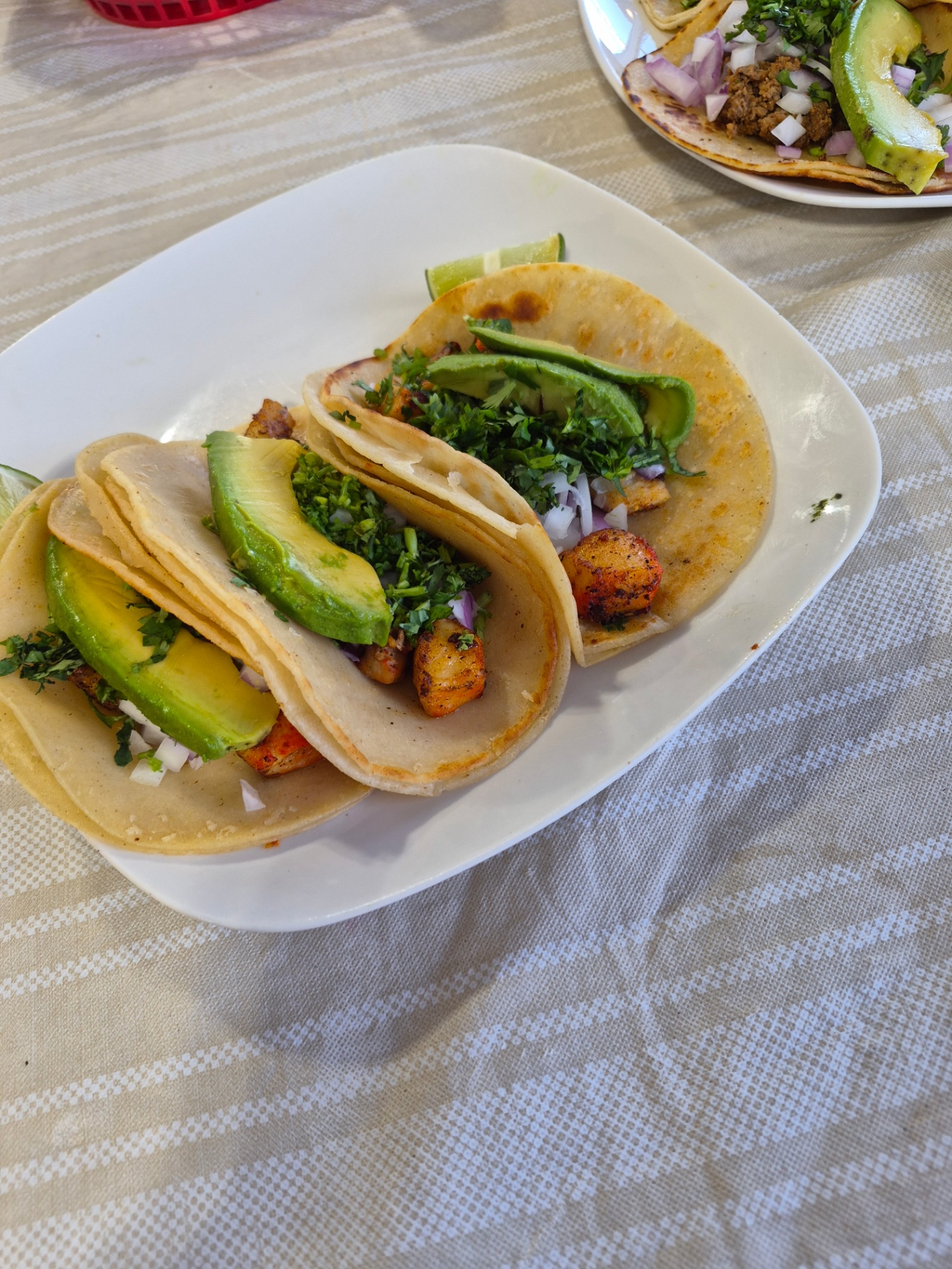Shrimp street tacos on hand-pressed corn tortillas with avocado and cilantro